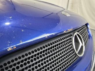 Mercedes SLK 200 picture 13