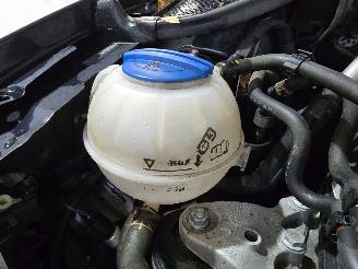 Volkswagen Polo  picture 12