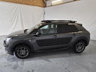 Citroën C4 cactus 1.2 PureTech Shine picture 4
