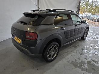 Citroën C4 cactus 1.2 PureTech Shine picture 7