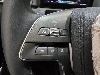 BYD  Atto 2 picture 32