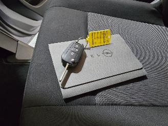 Opel Vivaro 2.0 Diesel 145 L3 picture 39