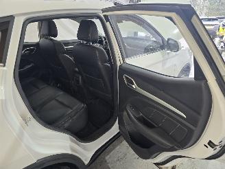 MG ZS EV Luxury 45 kWh picture 20