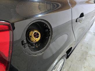 Volkswagen Polo 1.2 TDI BlueMotion picture 12