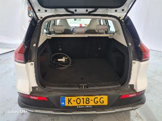 Aiways U5  picture 16