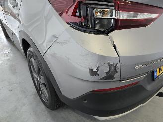 Opel Grandland X picture 14