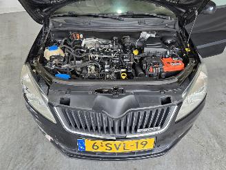 Skoda Fabia 1.2 TDI Greenline Businessline picture 17