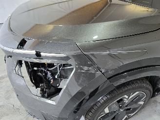 Kia Niro EV DynamicLine 64.8 kWh picture 13