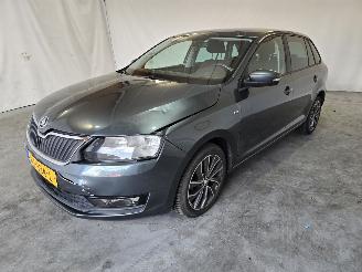 Skoda Rapid Spaceback 1.0 TSI Greentech Drive picture 3