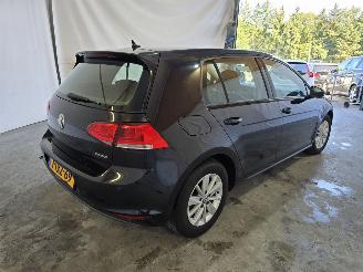 Volkswagen Golf 1.6 TDI Highline BlueMotion picture 7
