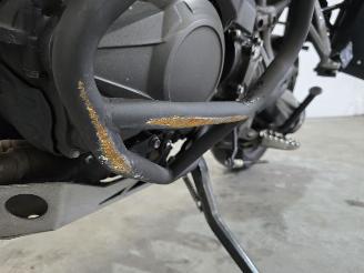 Triumph Tiger All-Road Tiger 1215 Explorer XCA picture 13