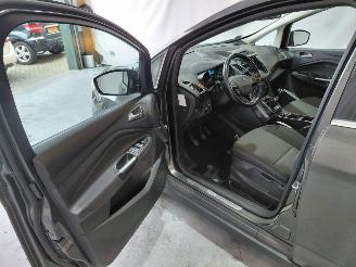 Ford C-Max 1.0 Titanium picture 11
