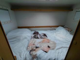 Fiat Camper 2.8 JTD JOINT 1 picture 15