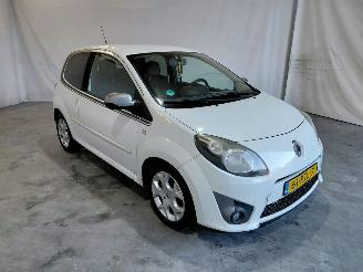 škoda osobní automobily Renault Twingo 1.2-16V Night en Day 2011/7