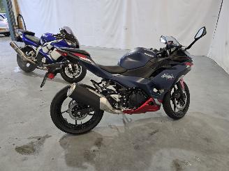 Kawasaki Ninja 500 SE Ninja 500 SE picture 4