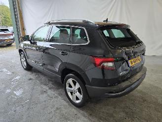Skoda Karoq 1.5 TSI ACT Bus. Ed. picture 5