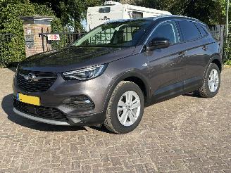 Ocazii autoturisme Opel Grandland X  1.2 Turbo Innovation 2019/3