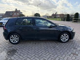 Volkswagen Golf 1.5 TSI DSG Bnsline picture 5