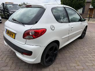 Peugeot 206+ 1.4 Millesim 200 picture 8