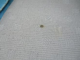 Nissan Micra 1.2 Visia Automaat NAP picture 17