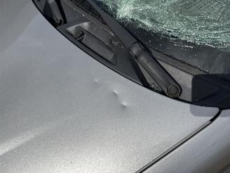 Fiat Panda 1.2 Dynamic picture 16