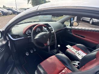 Peugeot 207 1.6-16V T Sport picture 14