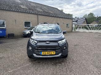 Ford EcoSport 1.0 EcoBoost Titanium picture 2