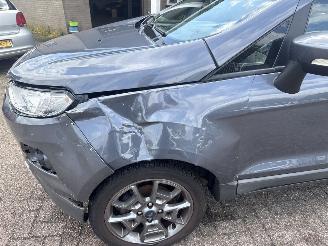 Ford EcoSport 1.0 EcoBoost Titanium picture 11