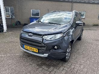 Ford EcoSport 1.0 EcoBoost Titanium picture 9