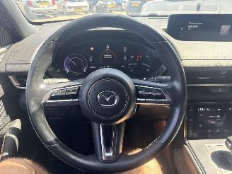 Mazda MX-30 e-SkyActiv 145 First Edition 36kWh picture 17