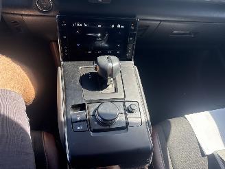 Mazda MX-30 e-SkyActiv 145 First Edition 36kWh picture 19