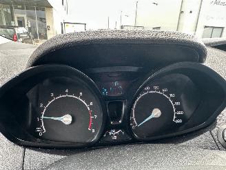 Ford EcoSport 1.0 EcoBoost picture 9