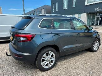 Skoda Karoq 1.5 TSI ACT Business Edition picture 7
