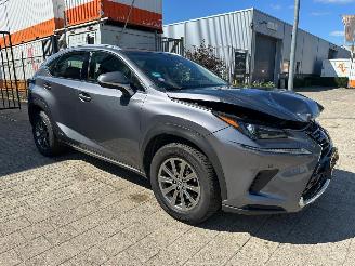 Damaged car Lexus NX 300h AWD 2018/2