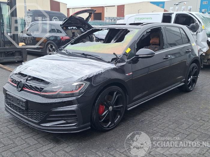 Volkswagen Golf Golf VII (AUA), Hatchback, 2012 / 2021 2.0 GTI TCR 16V