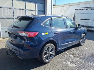 Ford Kuga Kuga III (DFK), SUV, 2019 2.5 PHEV 16V picture 3