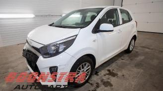 Purkuautot passenger cars Kia Picanto Picanto (JA), Hatchback, 2017 1.0 DPi 12V 2023/6