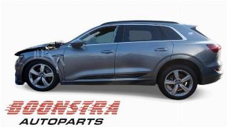 Audi E-tron e-tron (GEN), SUV, 2018 / 2023 55 quattro picture 2