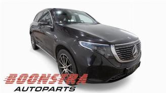 Mercedes EQC EQC (N293), SUV, 2019 / 2023 400 4-Matic picture 7