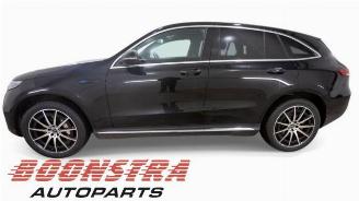 Mercedes EQC EQC (N293), SUV, 2019 / 2023 400 4-Matic picture 2