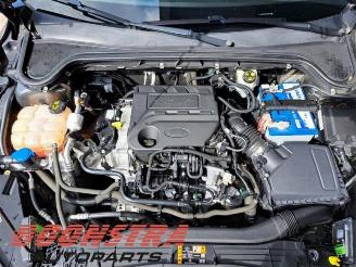 Ford Focus Focus 4, Hatchback, 2018 / 2025 1.0 Ti-VCT EcoBoost 12V 125 picture 23