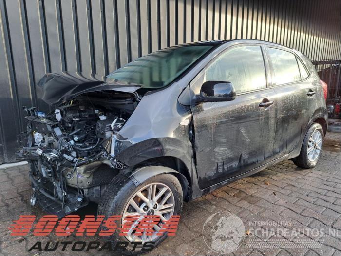 Kia Picanto Picanto (JA), Hatchback, 2017 1.0 DPI 12V