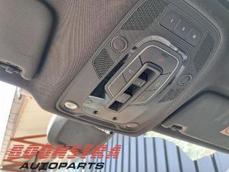 Audi SQ5 SQ5 (FYB/FYG), SUV, 2016 3.0 TFSI V6 24V picture 19