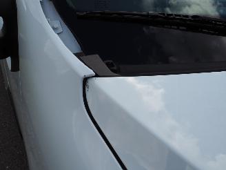 Renault Master 2.3 DCI Koelwagen Laadklep picture 20