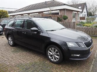Skoda Octavia 1.0 TSI Ambition Business Dsg picture 2