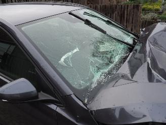 Volkswagen Polo 1.0 TSI Life DSG picture 12