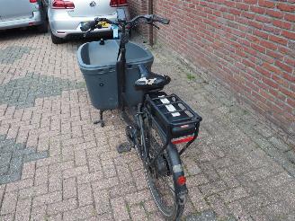 Overige  Dolly Bakfiets Family picture 5