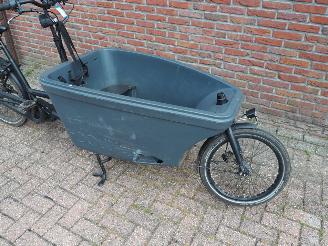 Overige  Dolly Bakfiets Family picture 8