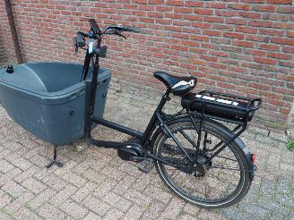 Overige  Dolly Bakfiets Family picture 4