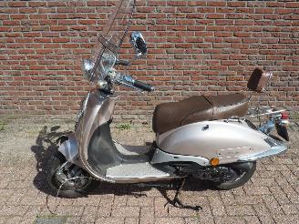 skadebil auto Overige Rio Rover Classic 2009/6